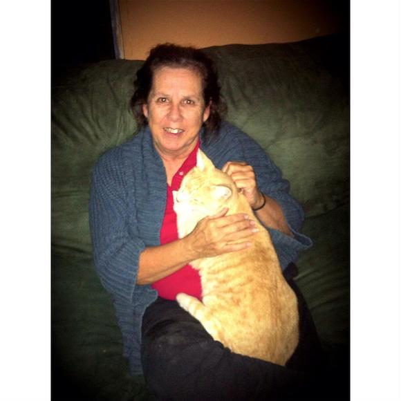 Meet your Posher, Geraldine - Picture 1 of 1